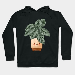 Cute Plant Illustration, Alocasia Silver Dragon Illustration Hoodie